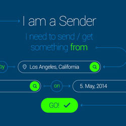社会经济咨询服务
