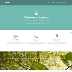 项目策划与公关服务